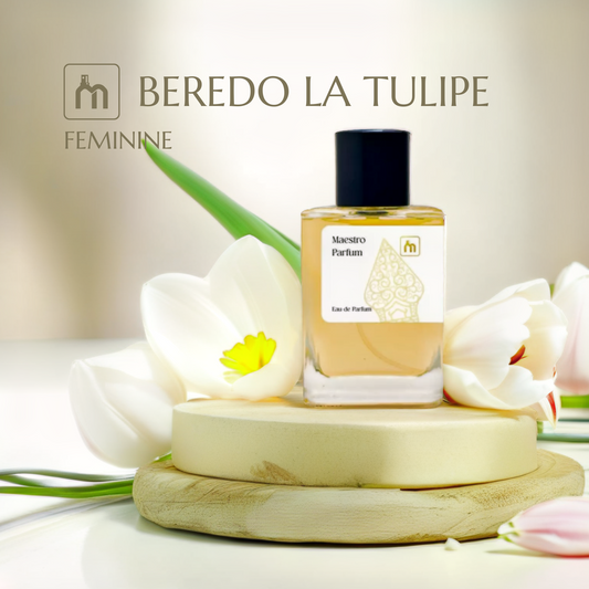 BEREDO LA TULIPE