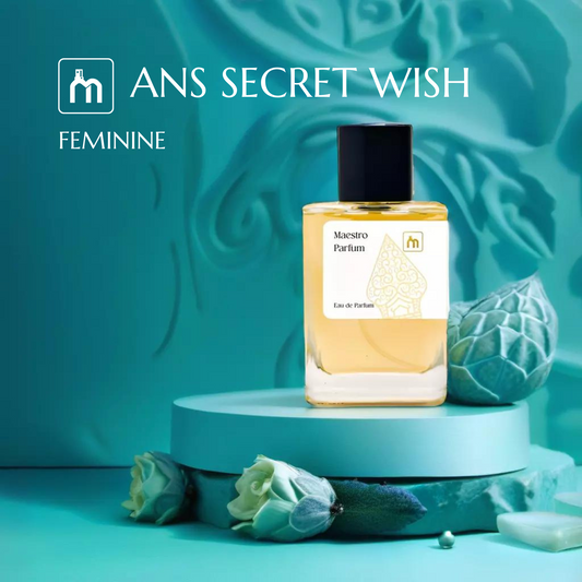 ANNA SECRET WISH